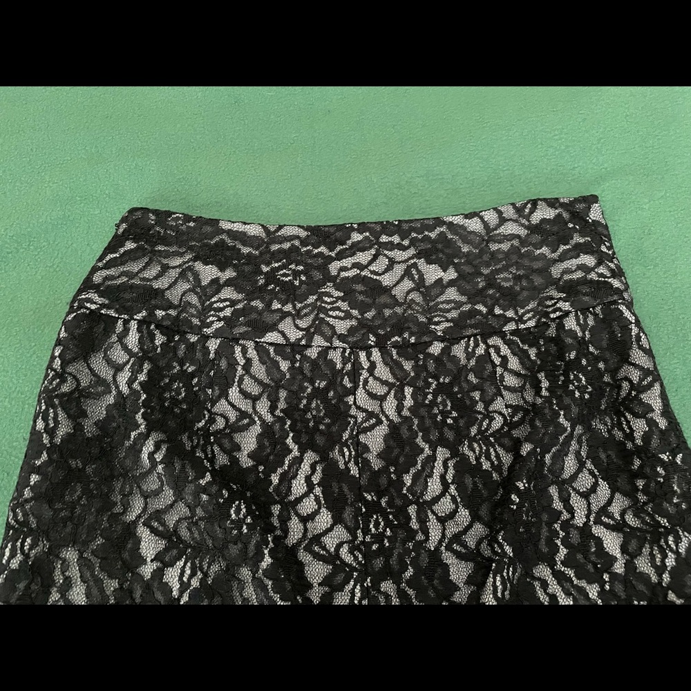 The Limited Lace Skirt - Picture 8 of 10